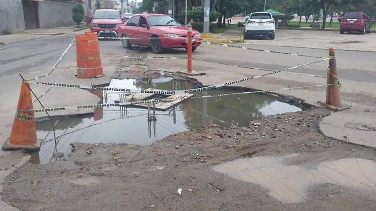 Bache-Carlos copia